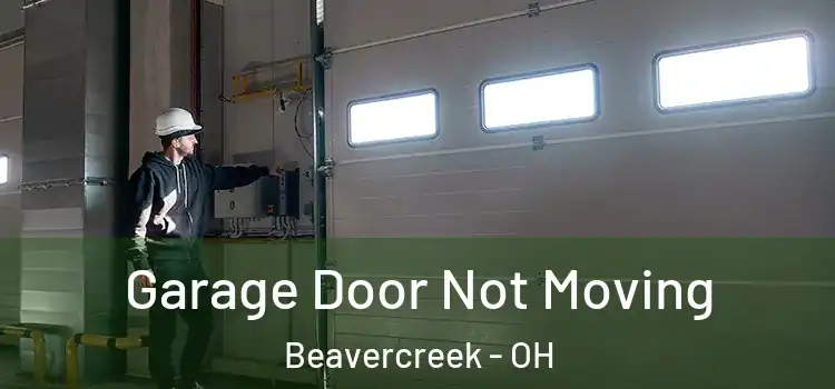  Garage Door Not Moving Beavercreek - OH